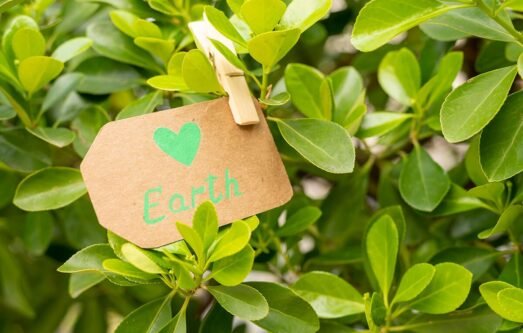 Eco-Friendly-Labels-1.jpg